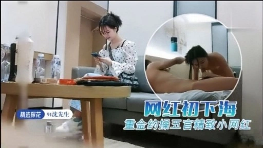【国产精选】网红初下海重金约操五官精致小网红