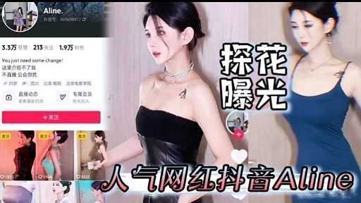 【国产精选】探花曝光